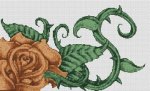 Chocolate Rose (image for) Chocolate Rose